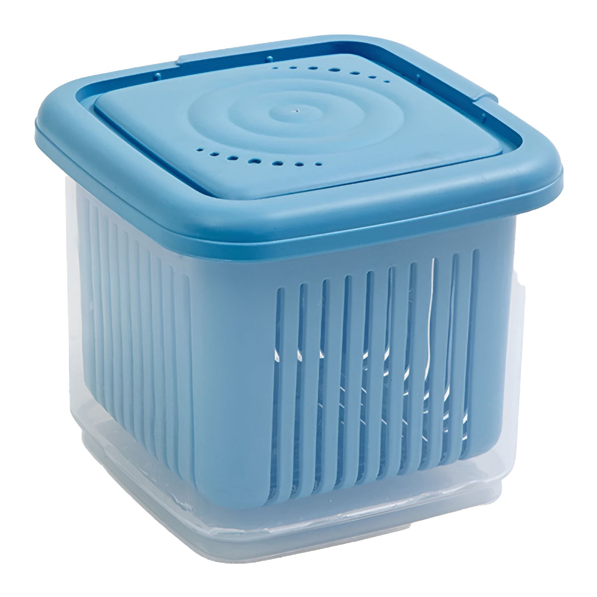 Large Berry Keeper Box with Colander and Leak-Proof Lid, Blue